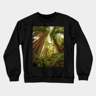 Redwood Forest Crewneck Sweatshirt